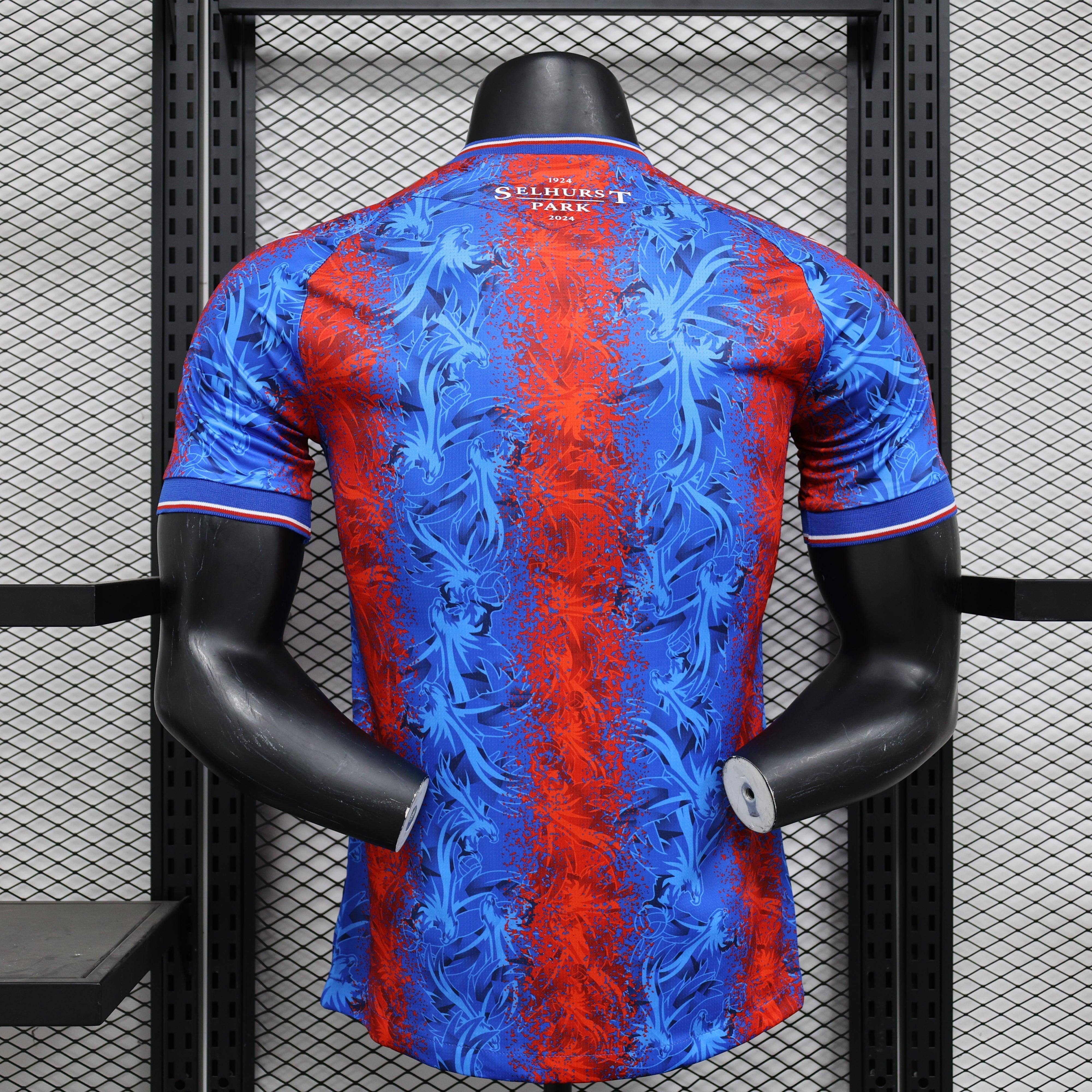 Crystal Palace DOM 24/25 Player Version