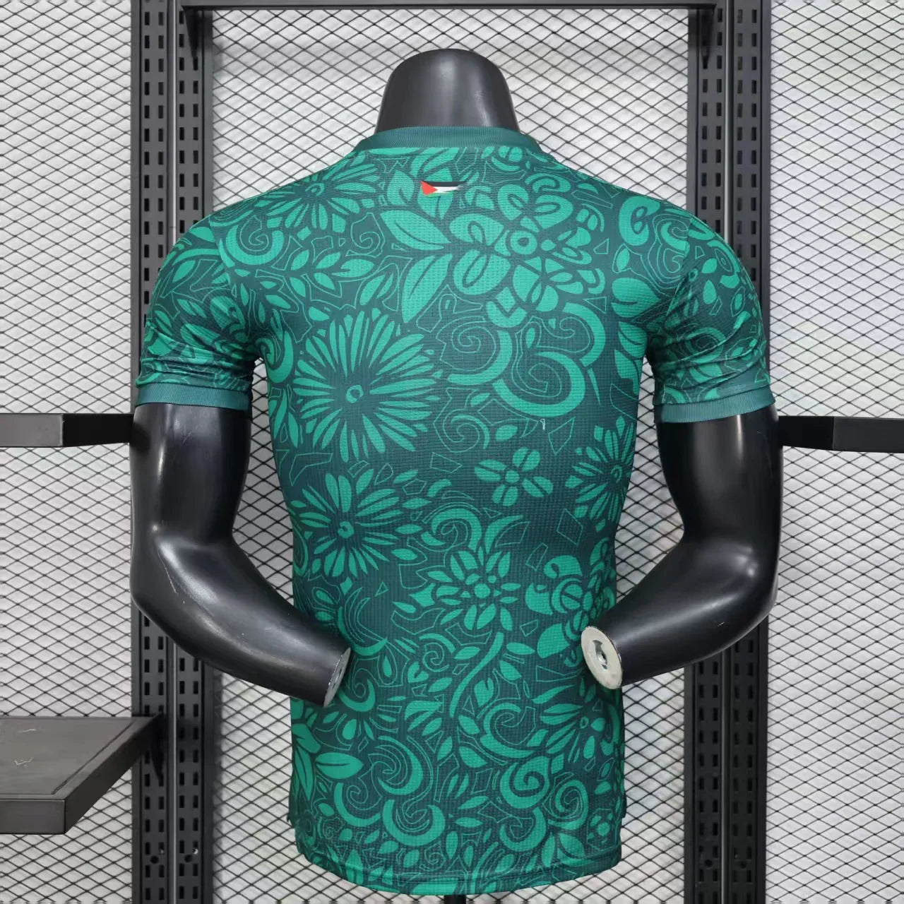 Palestine Concept Green Player Version 25/26