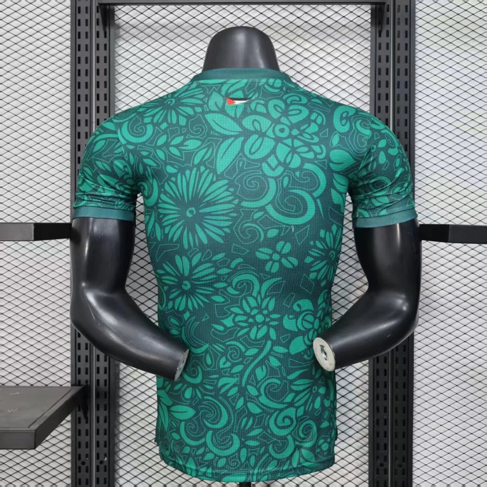 Palestine Concept Green Player Version 25/26 - Choppe ton maillot
